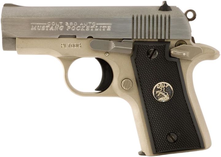Colt Government and Mustang .380 Boxes & Computer printed end label $35.00 extra 
