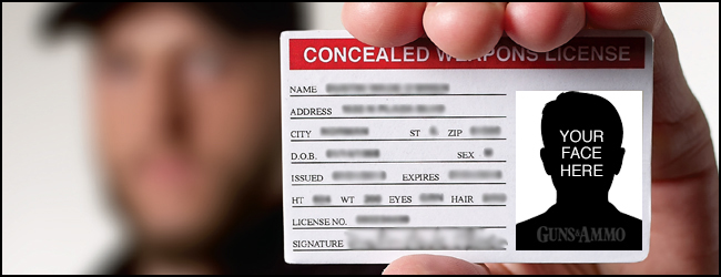 The Best Concealed Carry States in 2013