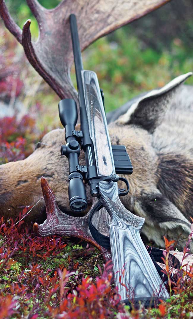 Of Moose and Memories: Hunting Newfoundland with a Mossberg's MVP in .308 Win.