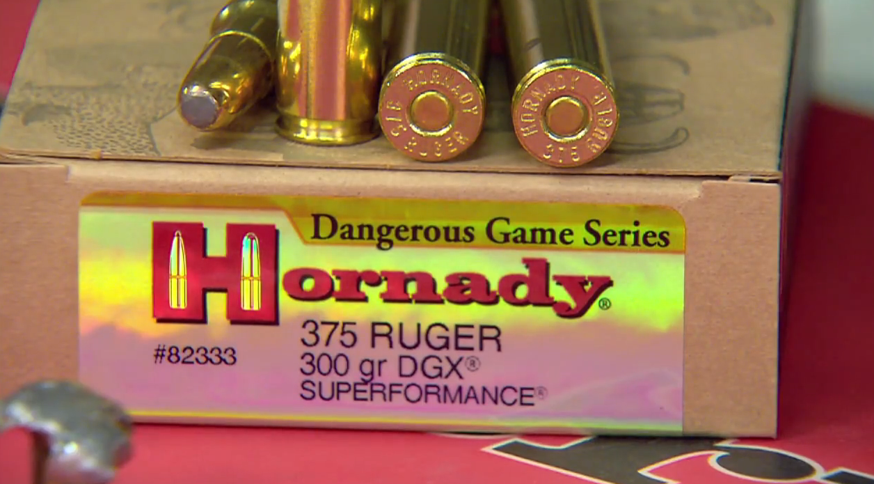 Hornady Dangerous Game Ammo
