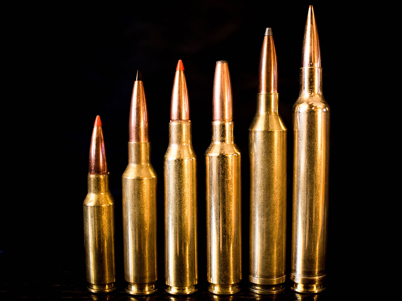 13 Popular 6.5mm Rifle Cartridges